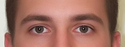 eyebrows animation